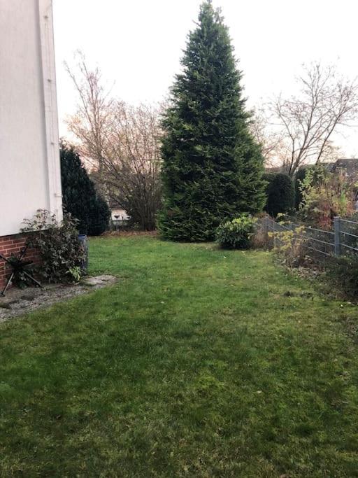 Ferienwohnung Bergbluete Braunlage Esterno foto